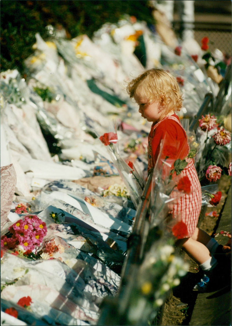 Princess Diana Funeral. - Vintage Photograph