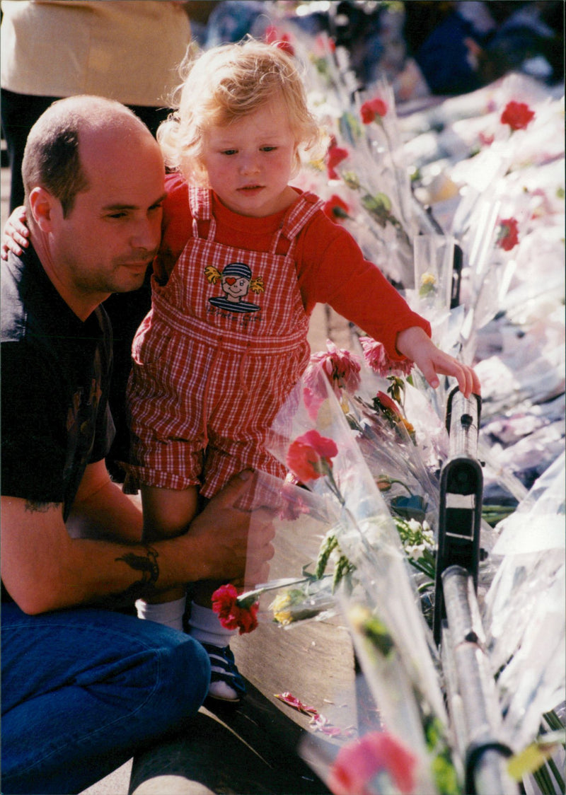 Princess Diana Funeral. - Vintage Photograph