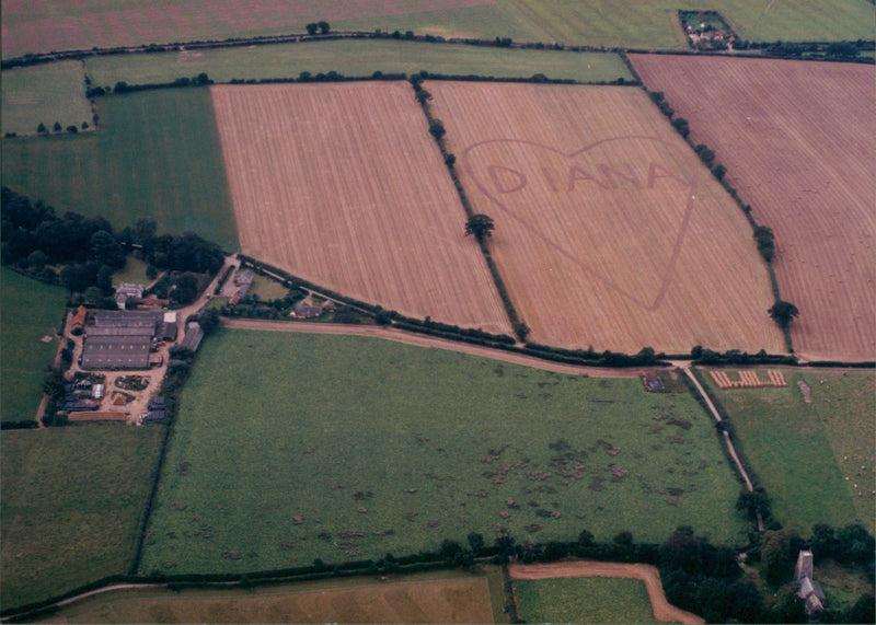 Aerial view of field while written a heart shape and name of Princess Diana. - Vintage Photograph