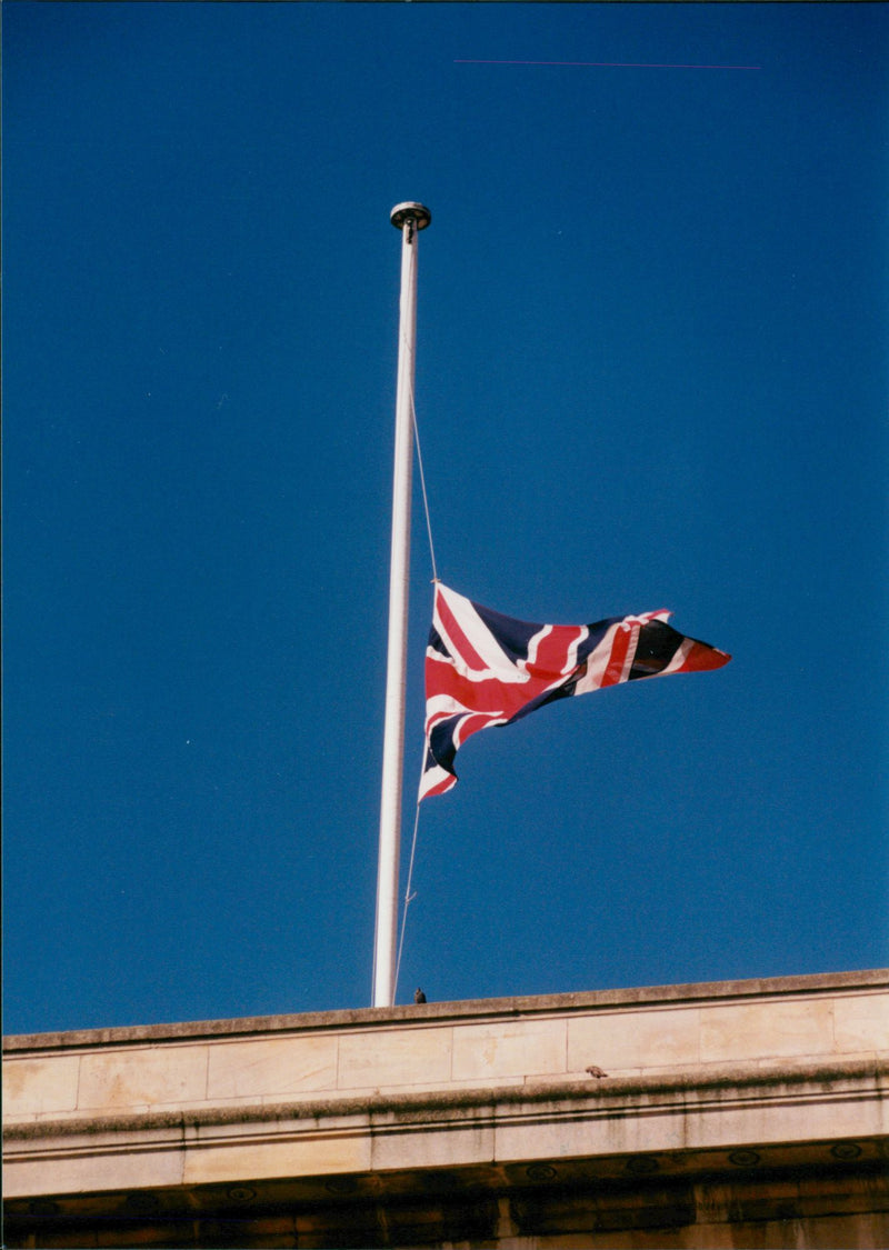 Princess Diana Funeral. - Vintage Photograph