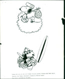 Cartoon Characters: Comic Books - Snoopy - Vintage Photograph