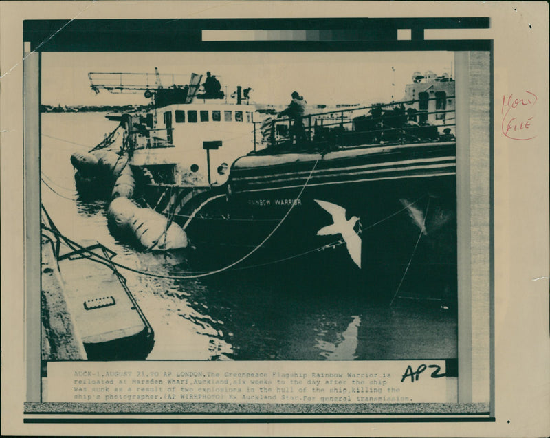 STAR EXPEDITION SHIP ANTARCTIC - Vintage Photograph