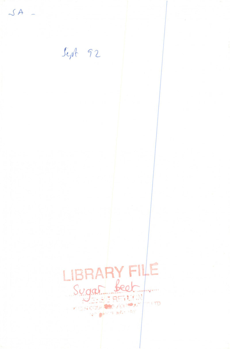 The sugar beet. - Vintage Photograph