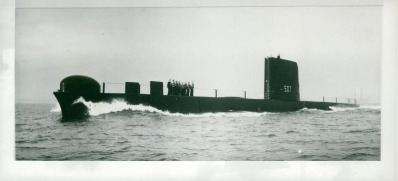 Sea Lion - Vintage Photograph