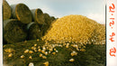 Sugar beet harvest. - Vintage Photograph