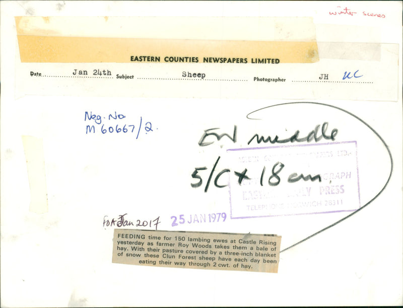 Seasons: Winter - Vintage Photograph