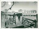 Seasons: Winter - Vintage Photograph
