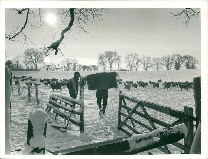 Seasons: Winter - Vintage Photograph