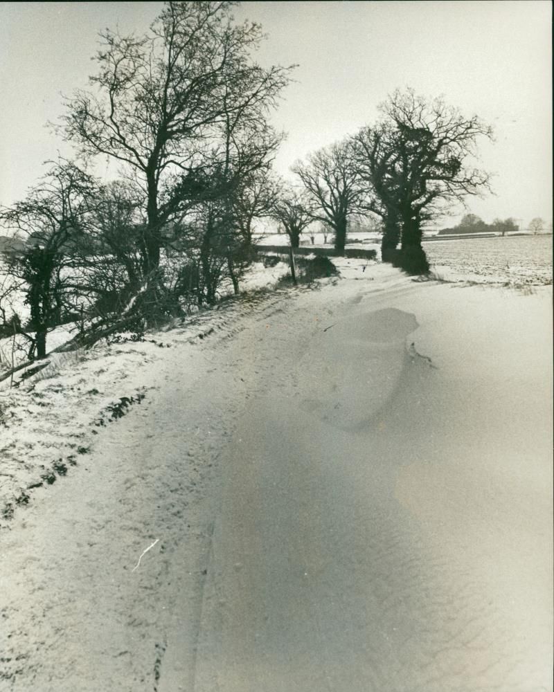 Snow - Vintage Photograph