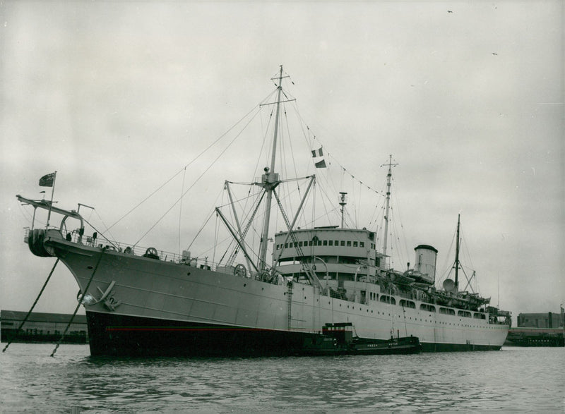 Shipping Civilian Cable and Survey Ships - Vintage Photograph