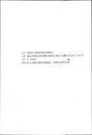 Indochina War 1950 - Vintage Photograph