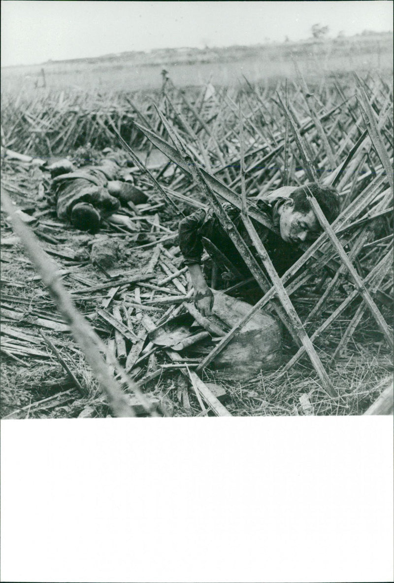 Indochina War 1950 - Vintage Photograph