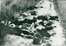 Vietnam, Vietnam war miscellaneous - Vintage Photograph
