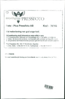 Vietnam, Vietnam war miscellaneous - Vintage Photograph