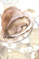 Shellfish - Vintage Photograph