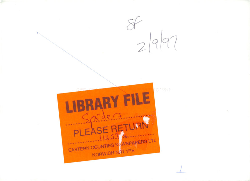 Spiders. - Vintage Photograph