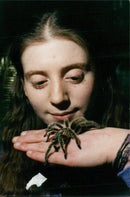 Amanda Webster with a Chilean-Rose Tarantula. - Vintage Photograph