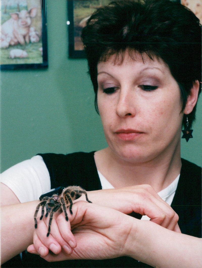 Susan Reynolds who has been cured of her fear of spiders after a visit to stress management consultant Adrian Bell. - Vintage Photograph