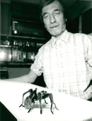 Black spider tarantula. - Vintage Photograph