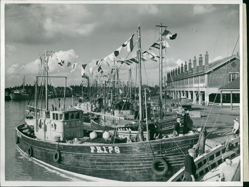 Herring Industry: Vessels - Herring Fleet Review - Vintage Photograph