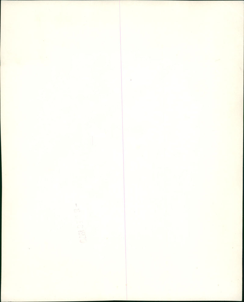 Aircraft Military - Vintage Photograph