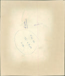 Aircraft Military - Vintage Photograph