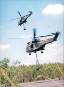 Army Helicopter - Vintage Photograph