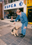 RSPCA animals home. - Vintage Photograph