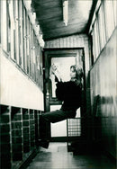 RSPCA, Cats - Vintage Photograph