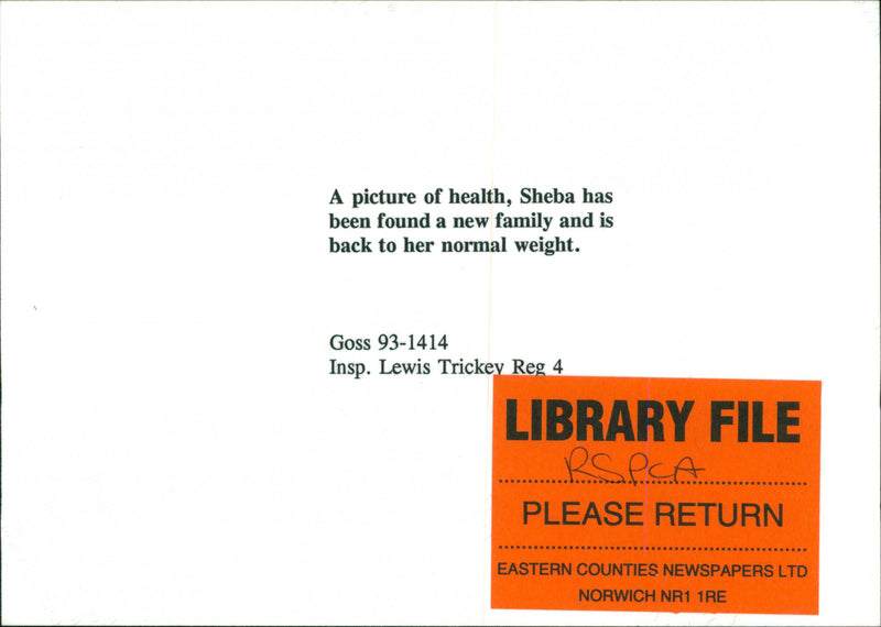 RSPCA, Rescued Dog - Vintage Photograph