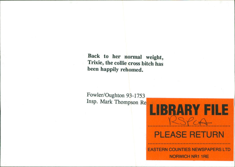 RSPCA,Rescued Dog - Vintage Photograph