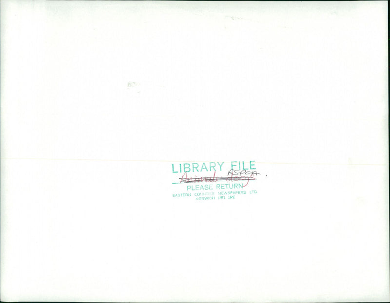 RSPCA, Rescued Greyhound Dog - Vintage Photograph