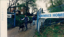 RSPCA Animals Home - Vintage Photograph