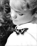 Butterfly. - Vintage Photograph