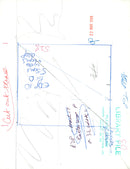 Butterfly. - Vintage Photograph