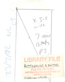 Cabbage White butterfly. - Vintage Photograph