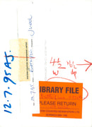 View of a peacock butterfly. - Vintage Photograph