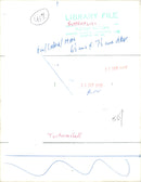 View of a peacock butterfly. - Vintage Photograph