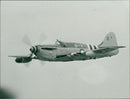 Aircraft: Military - Firefly - Vintage Photograph