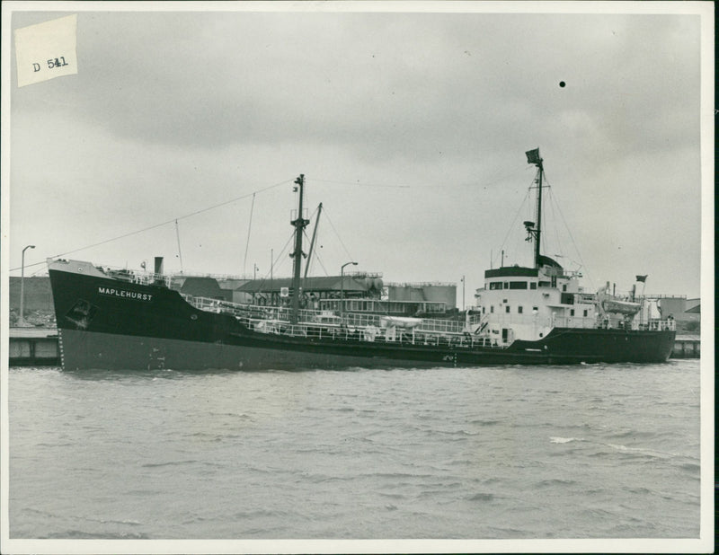 Tanker Maplehurst on Maiden trip to Yarmouth. - Vintage Photograph