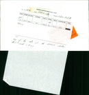 RSPCA Cat - Vintage Photograph