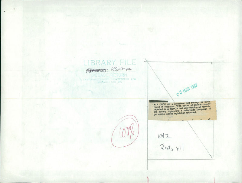 RSPCA,Rescued Duck & Dog - Vintage Photograph