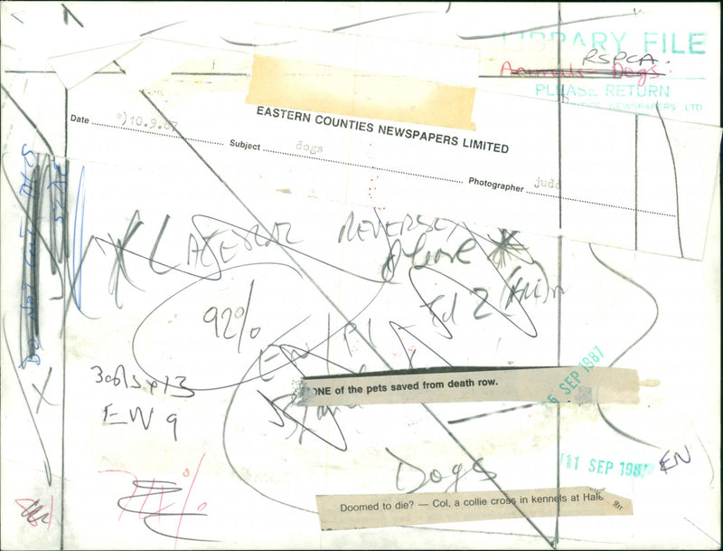 RSPCA dogs sanctuary - Vintage Photograph