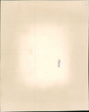 Aircraft Military - Vintage Photograph