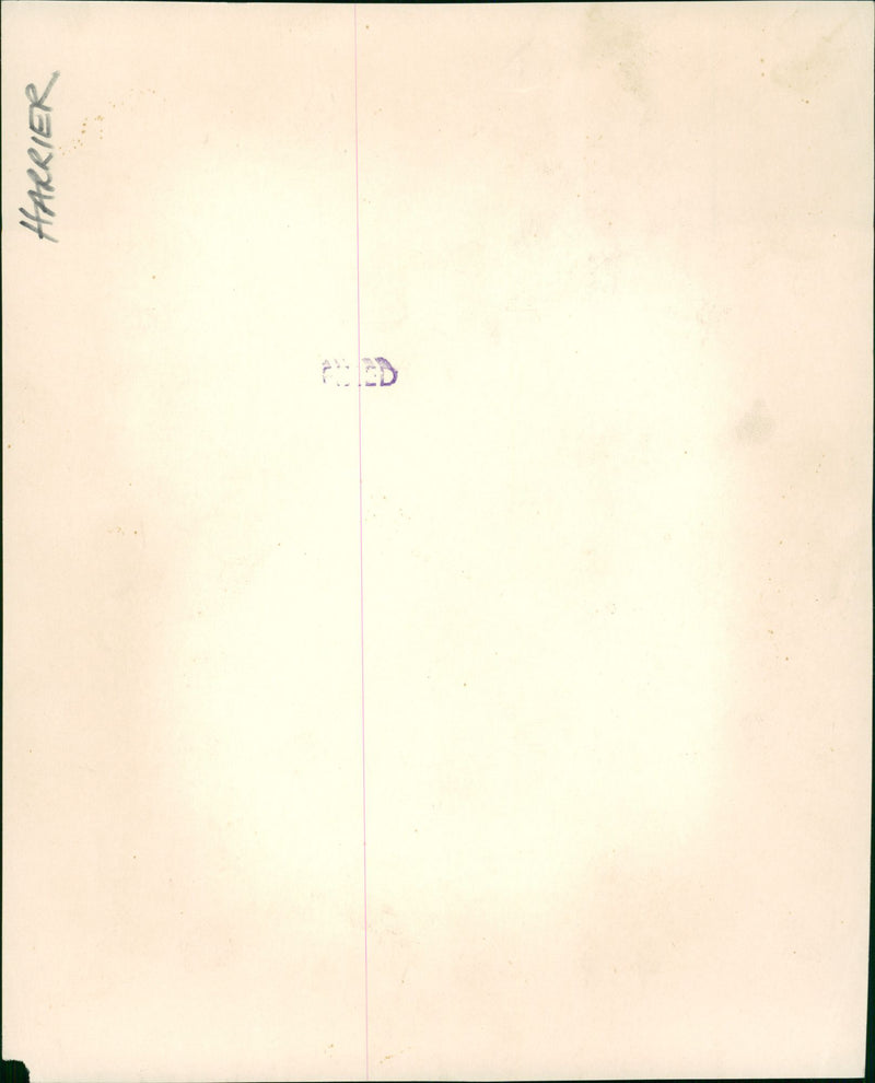 Aircraft Military - Vintage Photograph