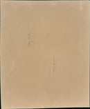 Hang Gliding & Parachuting - Vintage Photograph