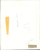 Helicopters: Civil - Vintage Photograph