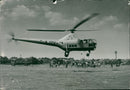 Helicopters: Civil - Vintage Photograph