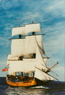 Shipping : The Endeavour - Vintage Photograph