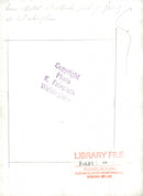 Lesser spotted Woodpecker feeding - Vintage Photograph